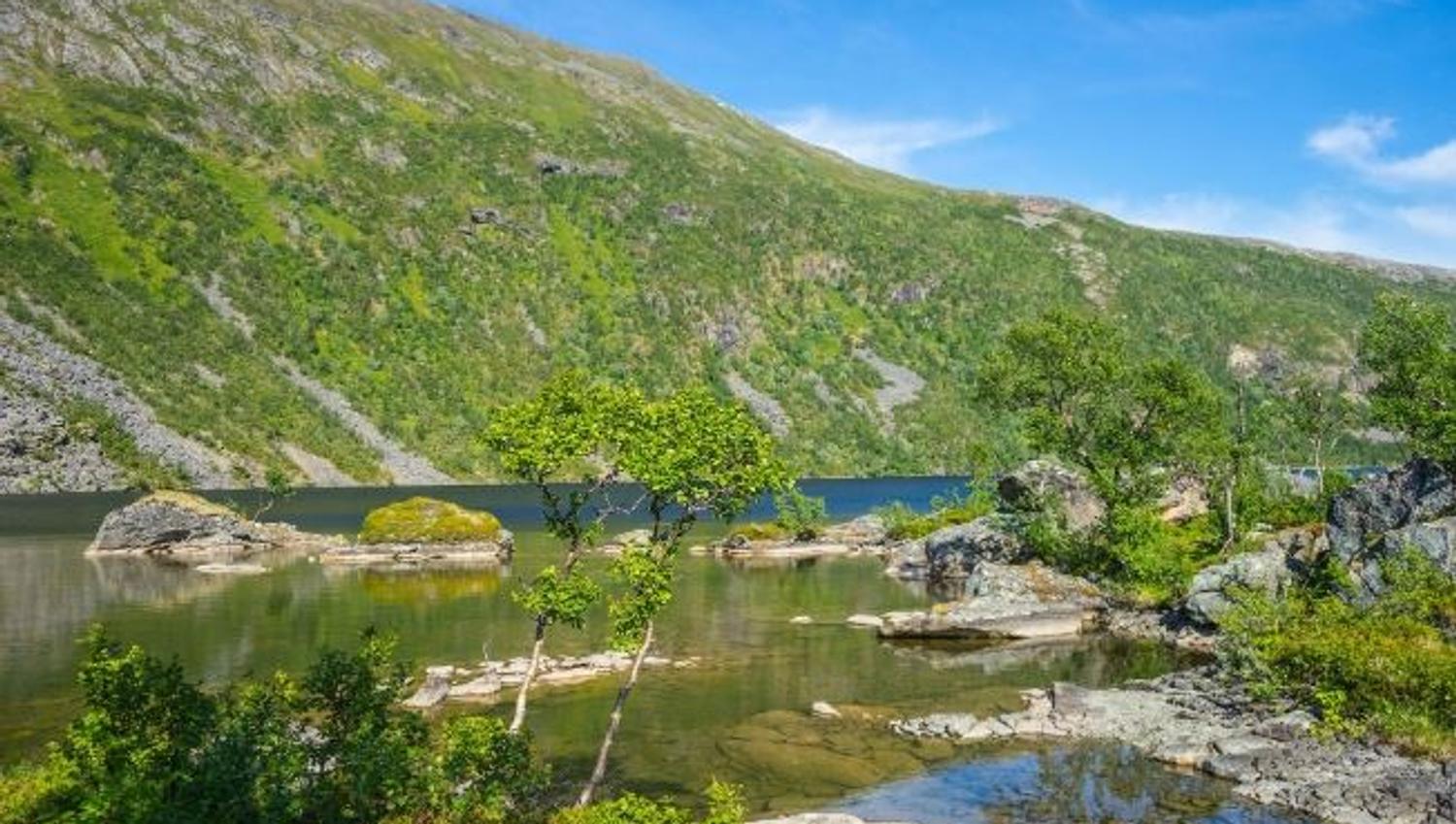 Photo of the summer landscape