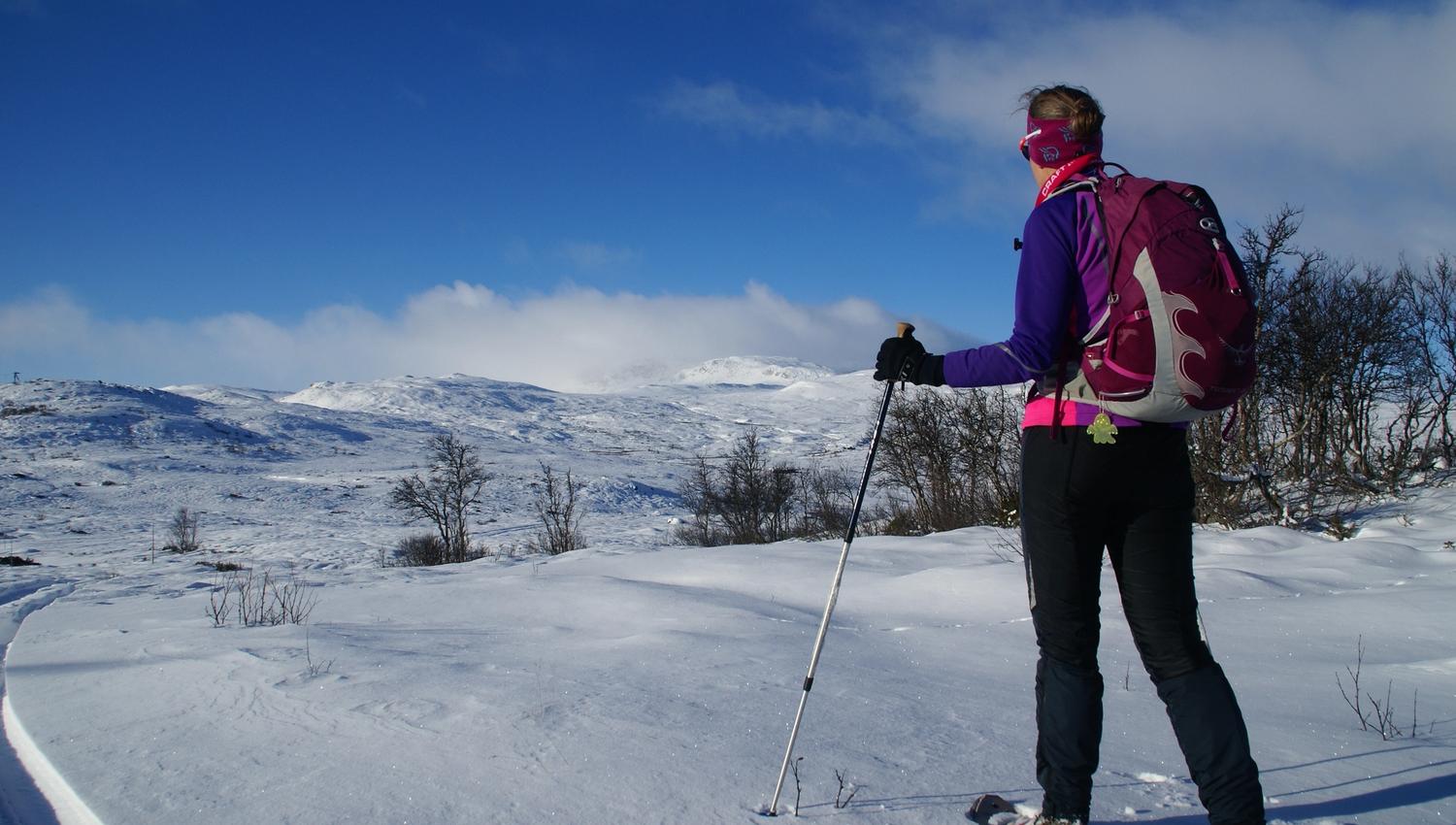 Look at the mountains in a diffrent way, go snowshoeing