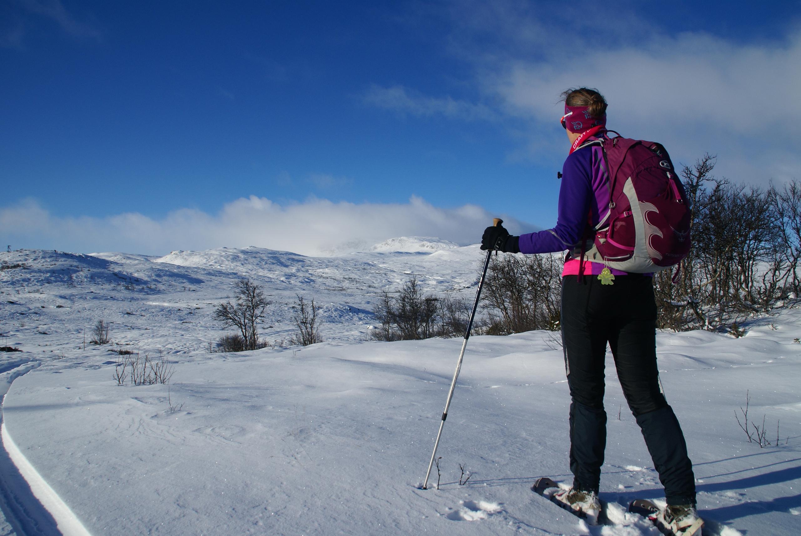 Look at the mountains in a diffrent way, go snowshoeing