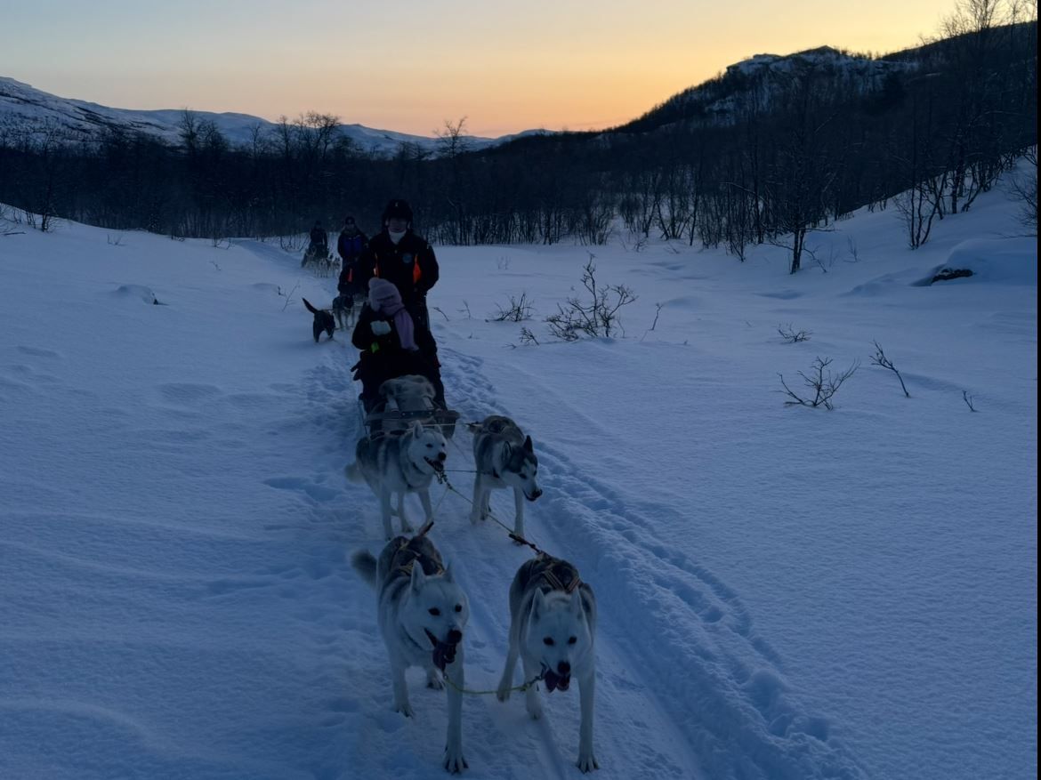 Dog sledding through a snowy forest with mountains in the background