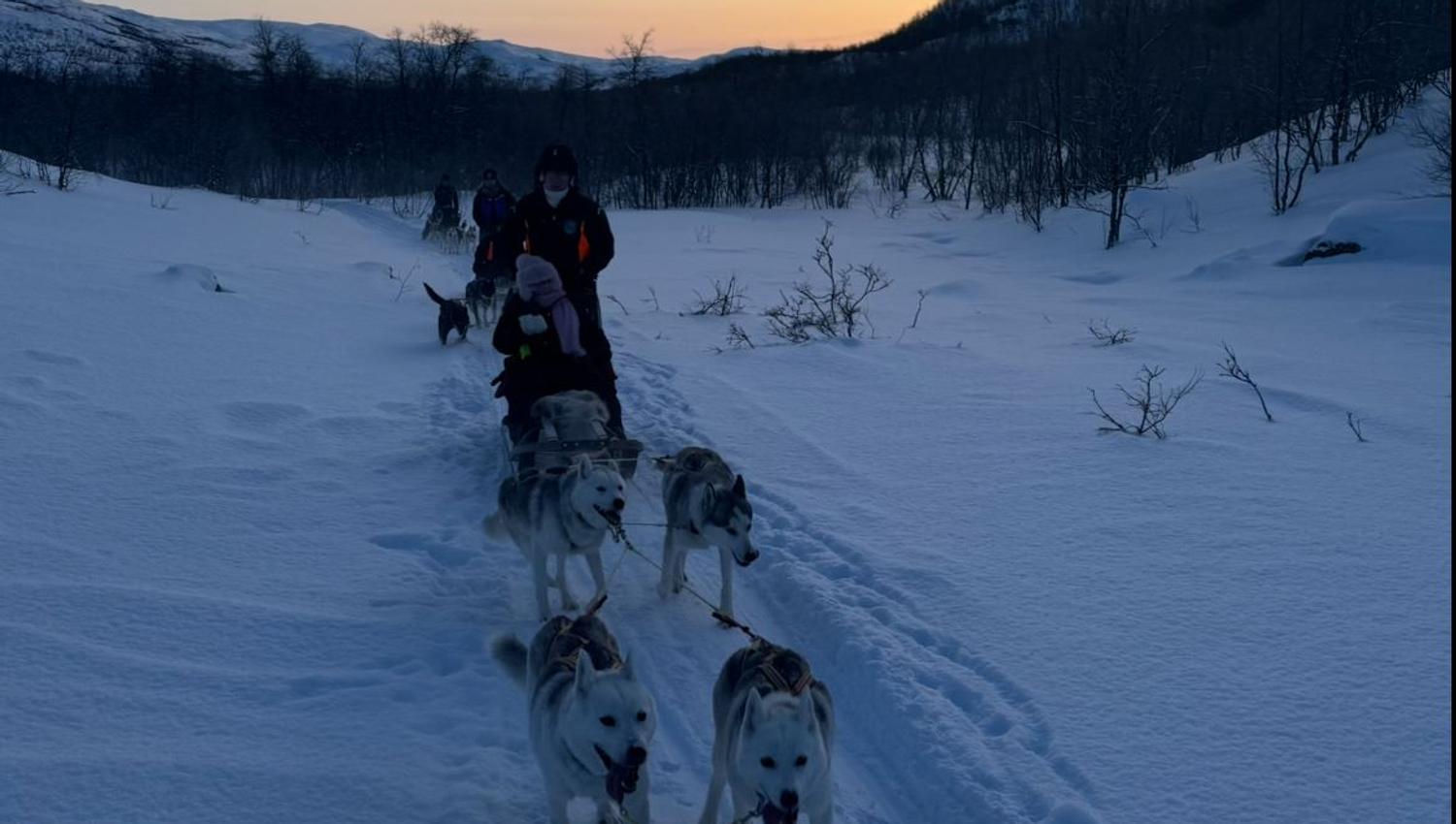 Dog sledding through a snowy forest with mountains in the background