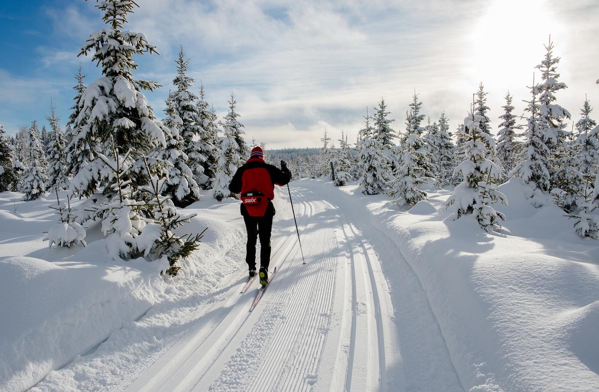 Cross-country skiing Øståsen Søndre Land