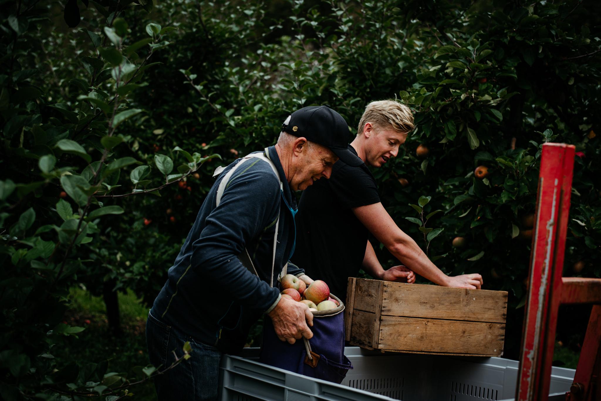 Cider tasting and farm shop at Apal Sideri at Hjelmeland