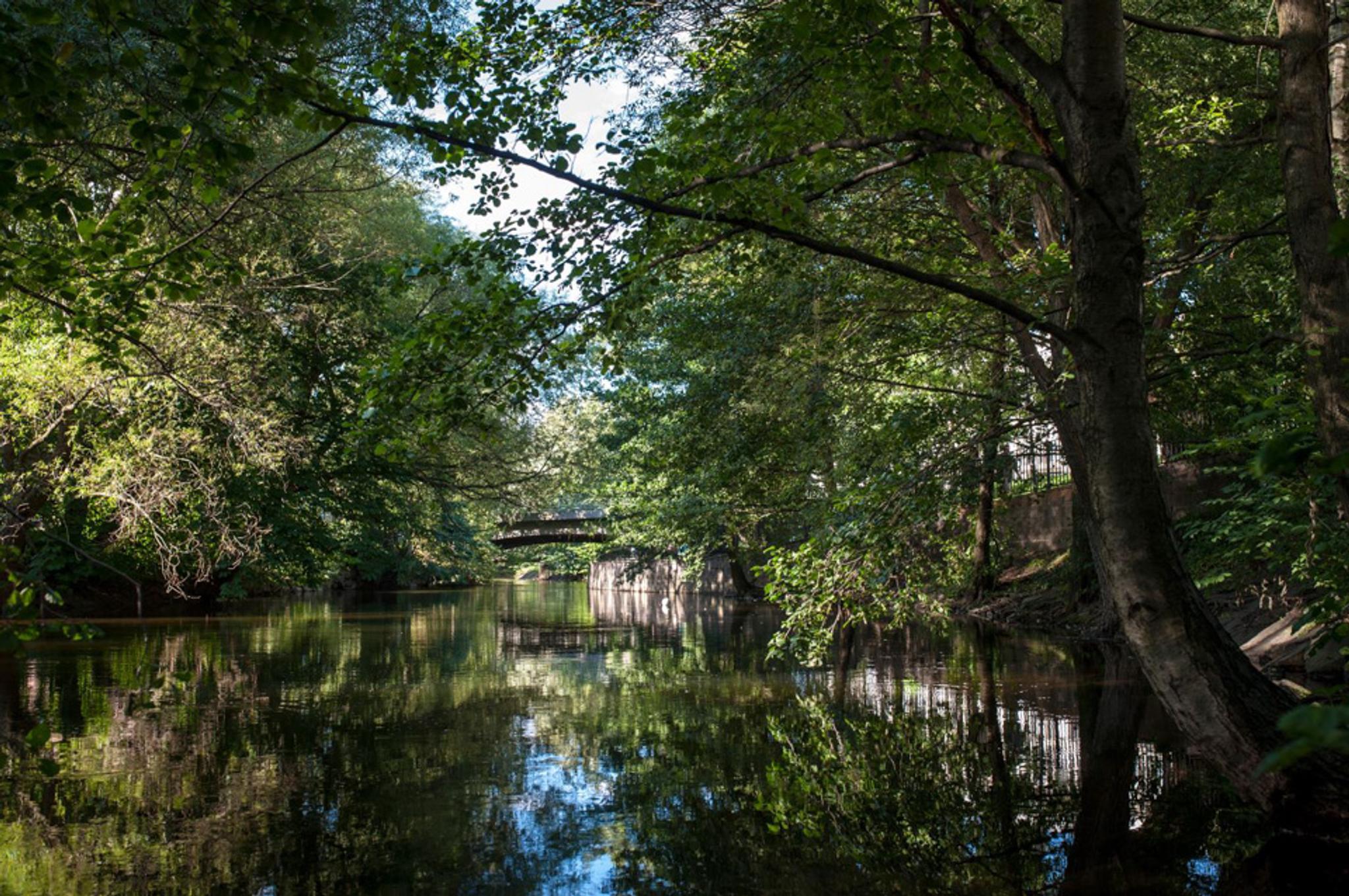 Spring/summer photo of Aker river with lots of trees.
