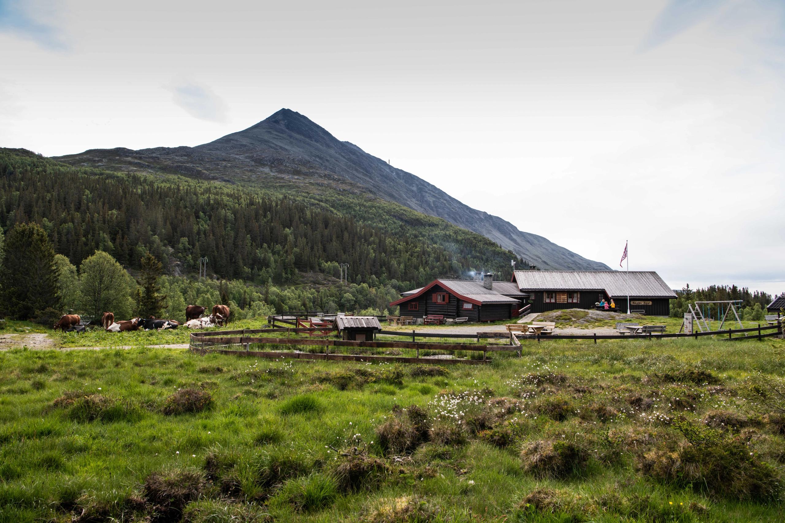 Selstali Seter is situated by the foot of Gaustatoppen