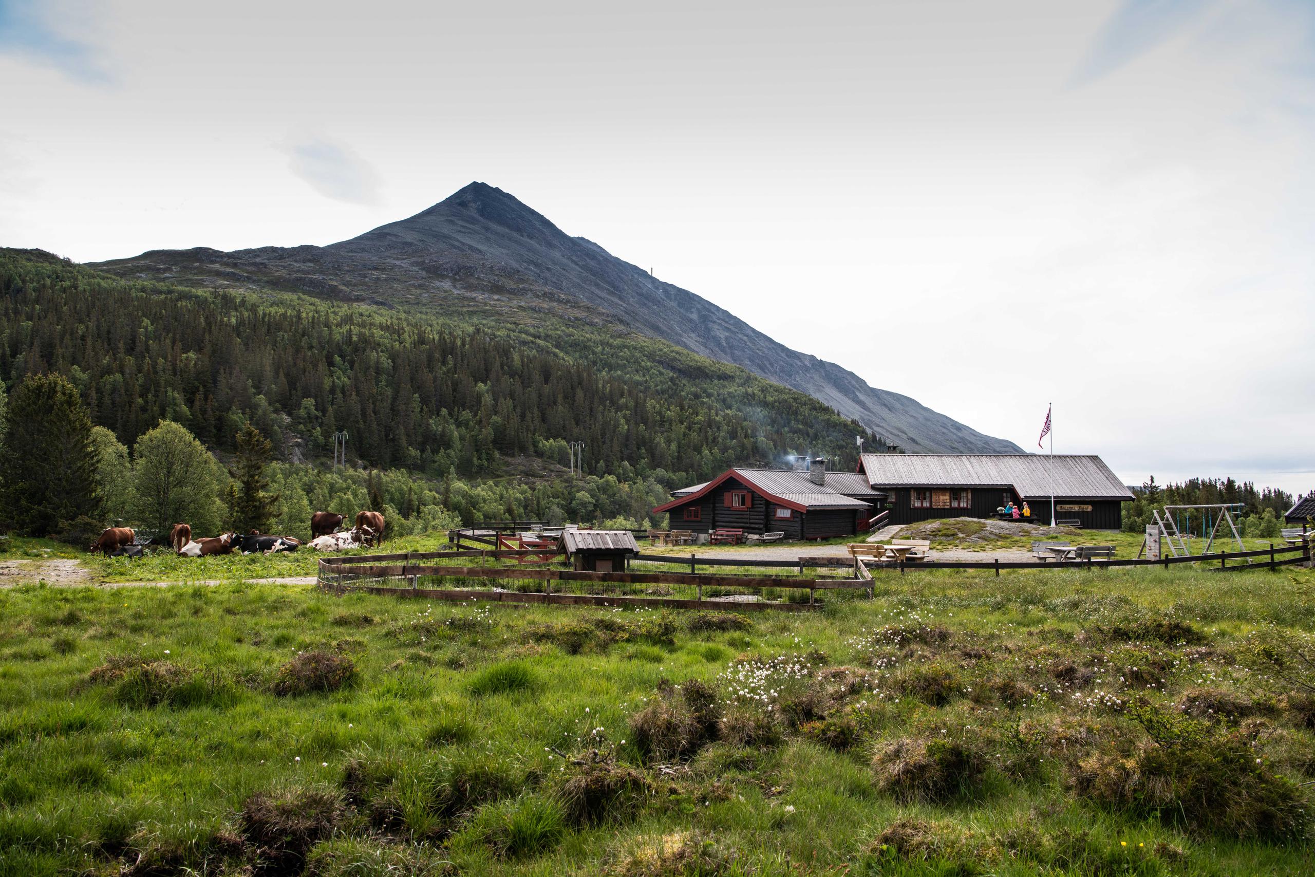 Selstali Seter is situated by the foot of Gaustatoppen