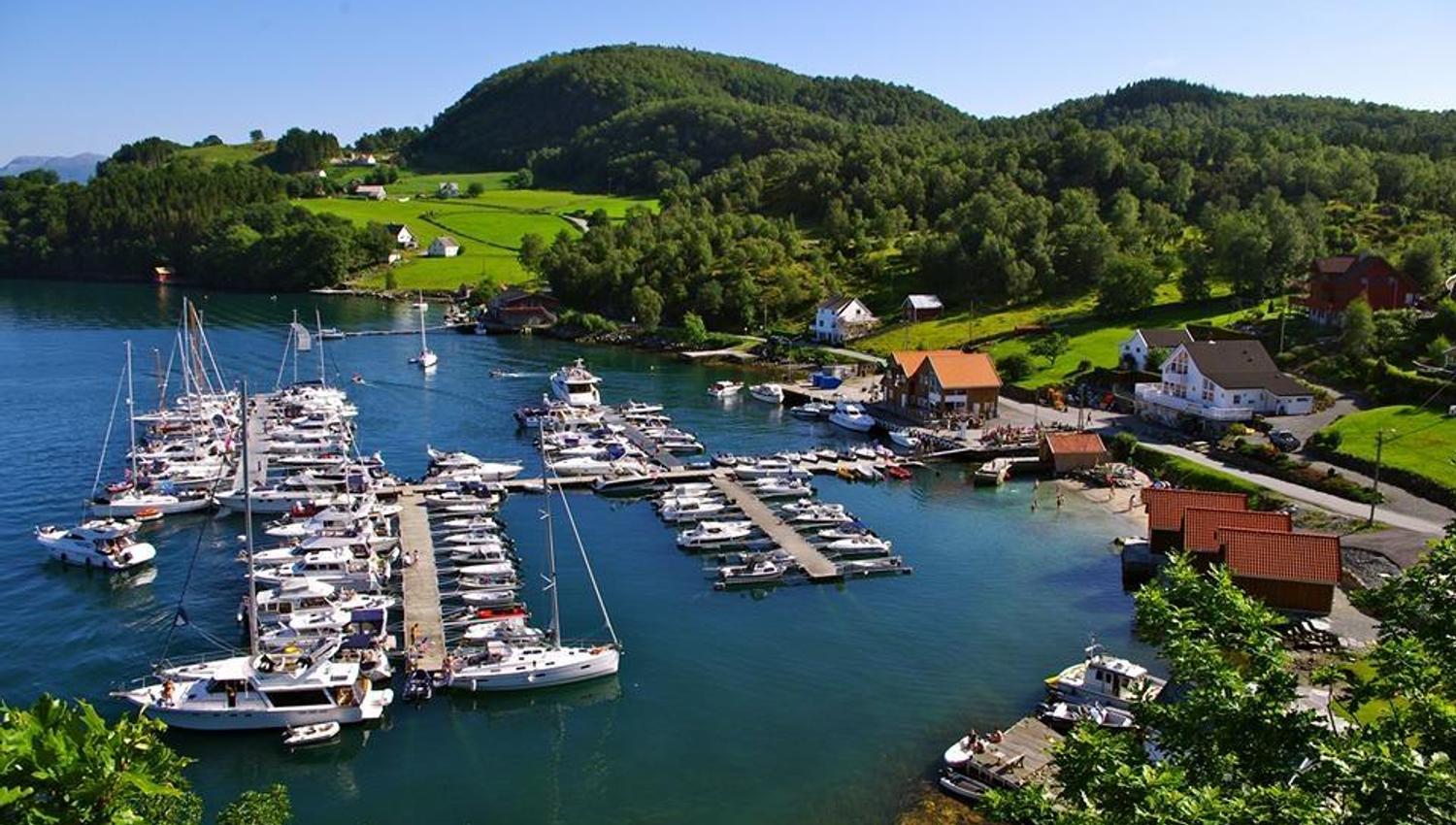 Skartveitvågen