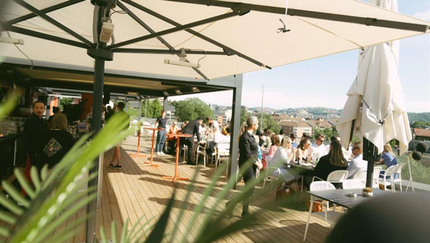 Plant, sunshade and people eating.
