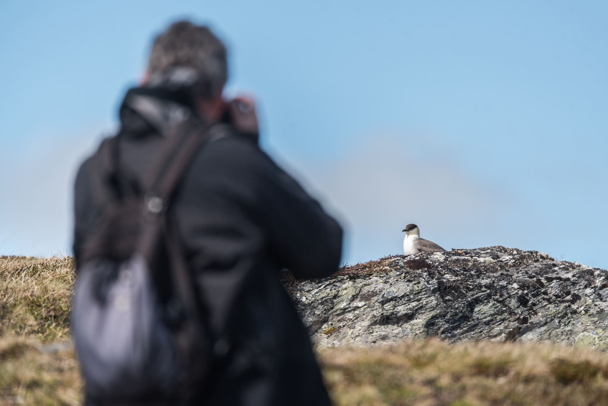 Fuglekikking med guide