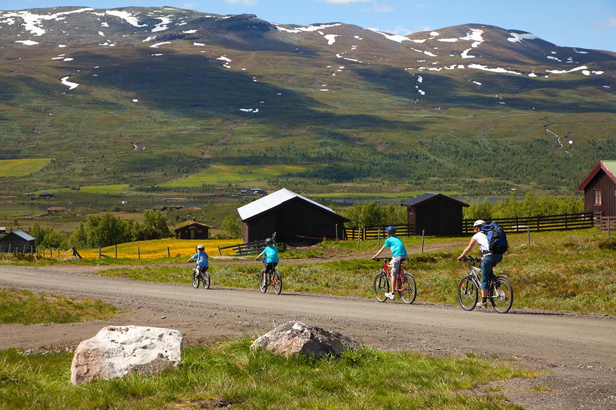 Gruppe på 4 mennesker sykler på stølsvei. Utsikt mot fjell.