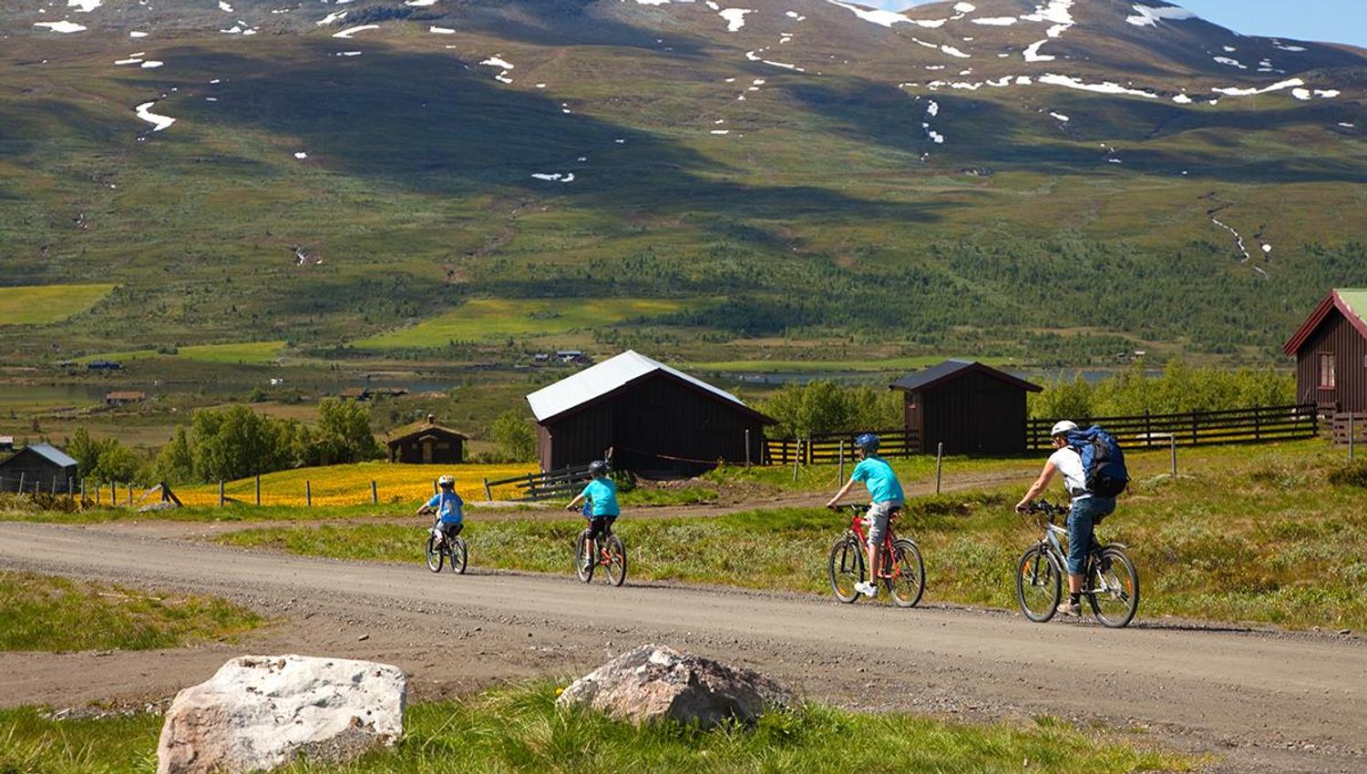 Gruppe på 4 mennesker sykler på stølsvei. Utsikt mot fjell.