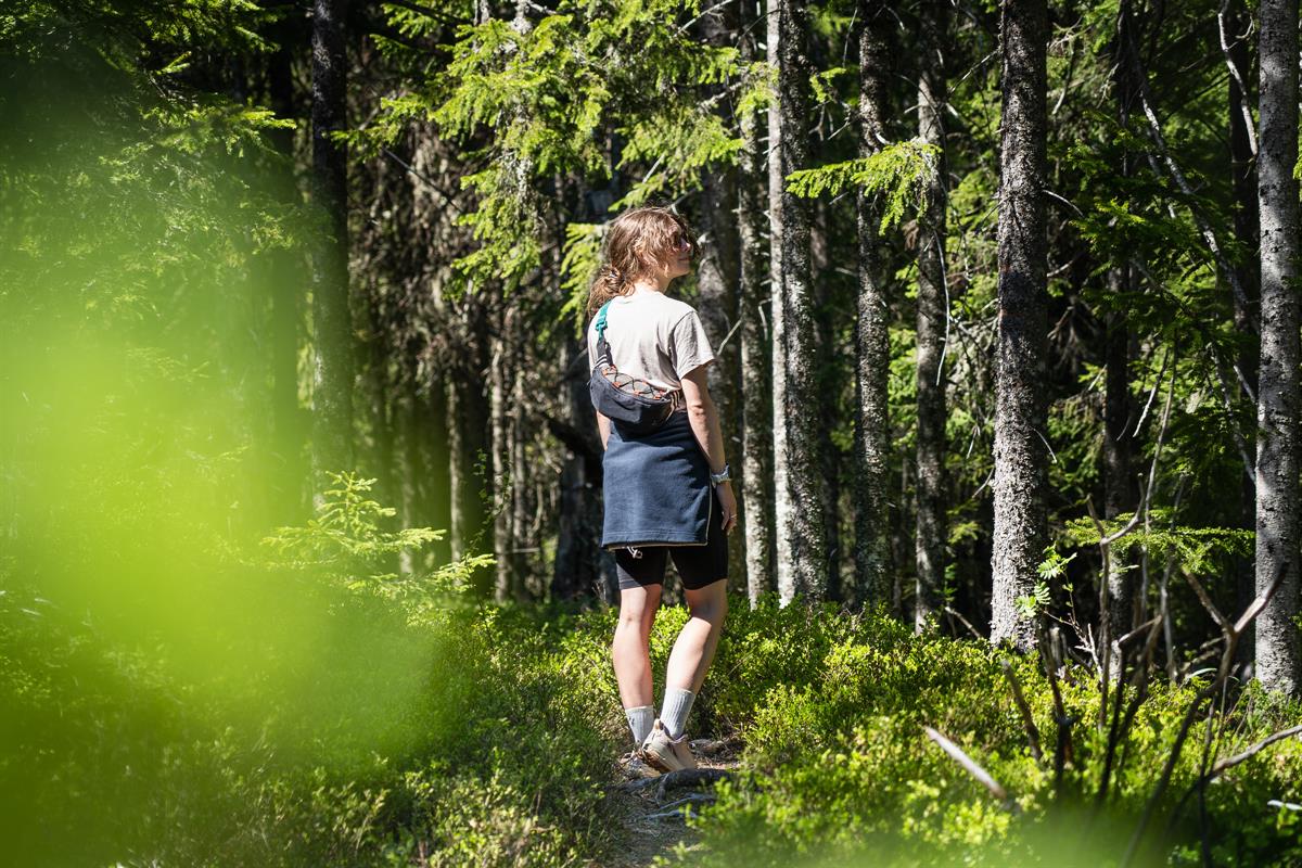 Person walking on a trail in a sunny forest.