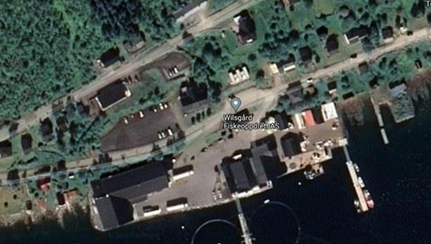drone bilder over laks produksjon i sjøen