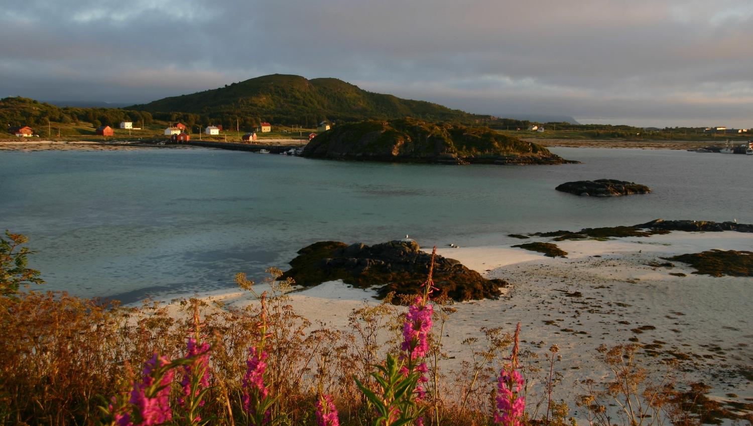 meløyvær