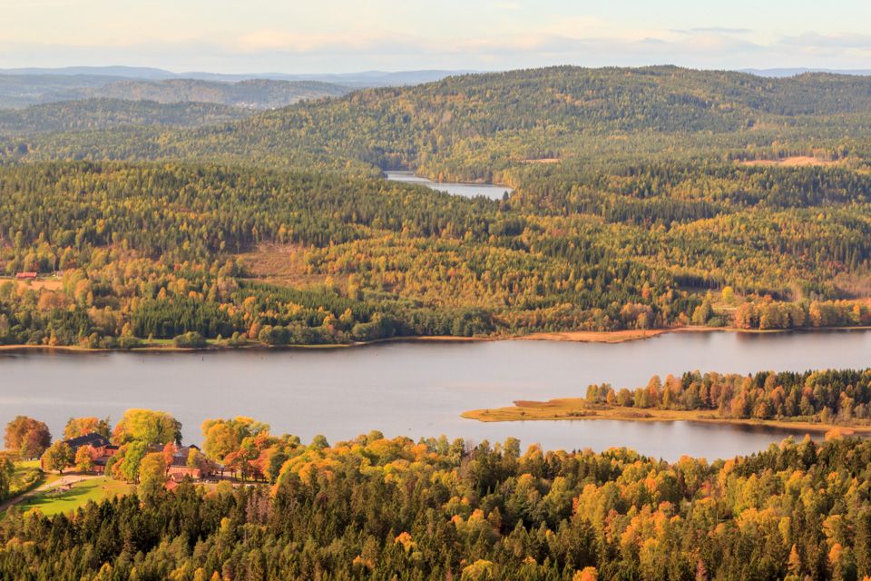 A bird's-eye view of Bogstadvannet and surround forest areas,