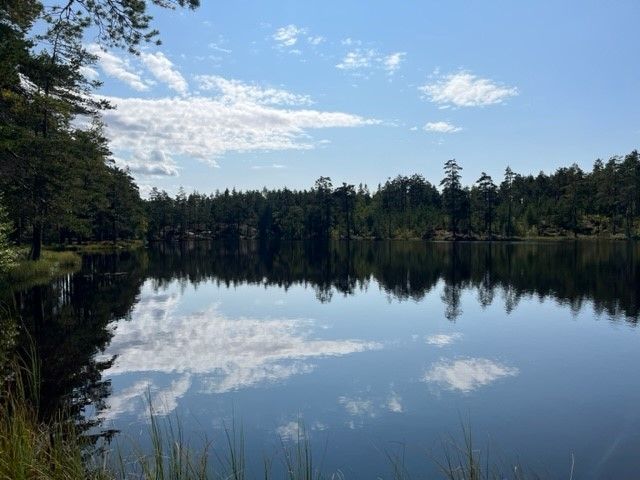 stille tjern