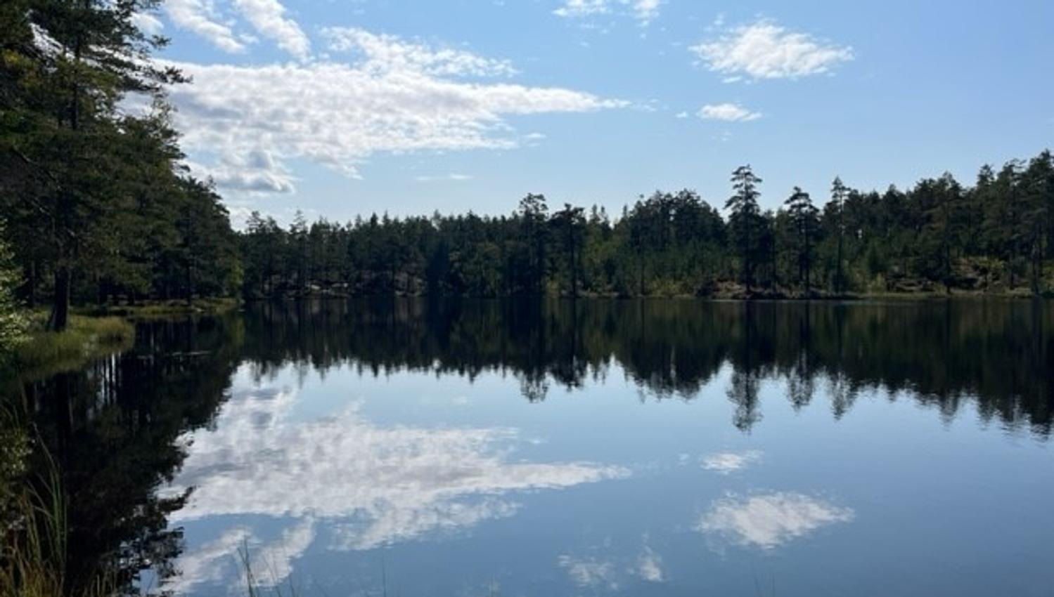 stille tjern