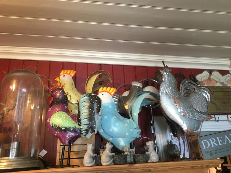 Roosters in different colours