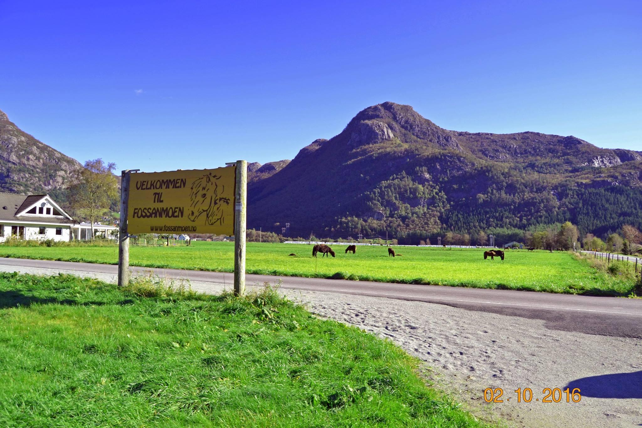 Overnatt hos Fossanmoen Islandshestsenter, nær Lysefjorden