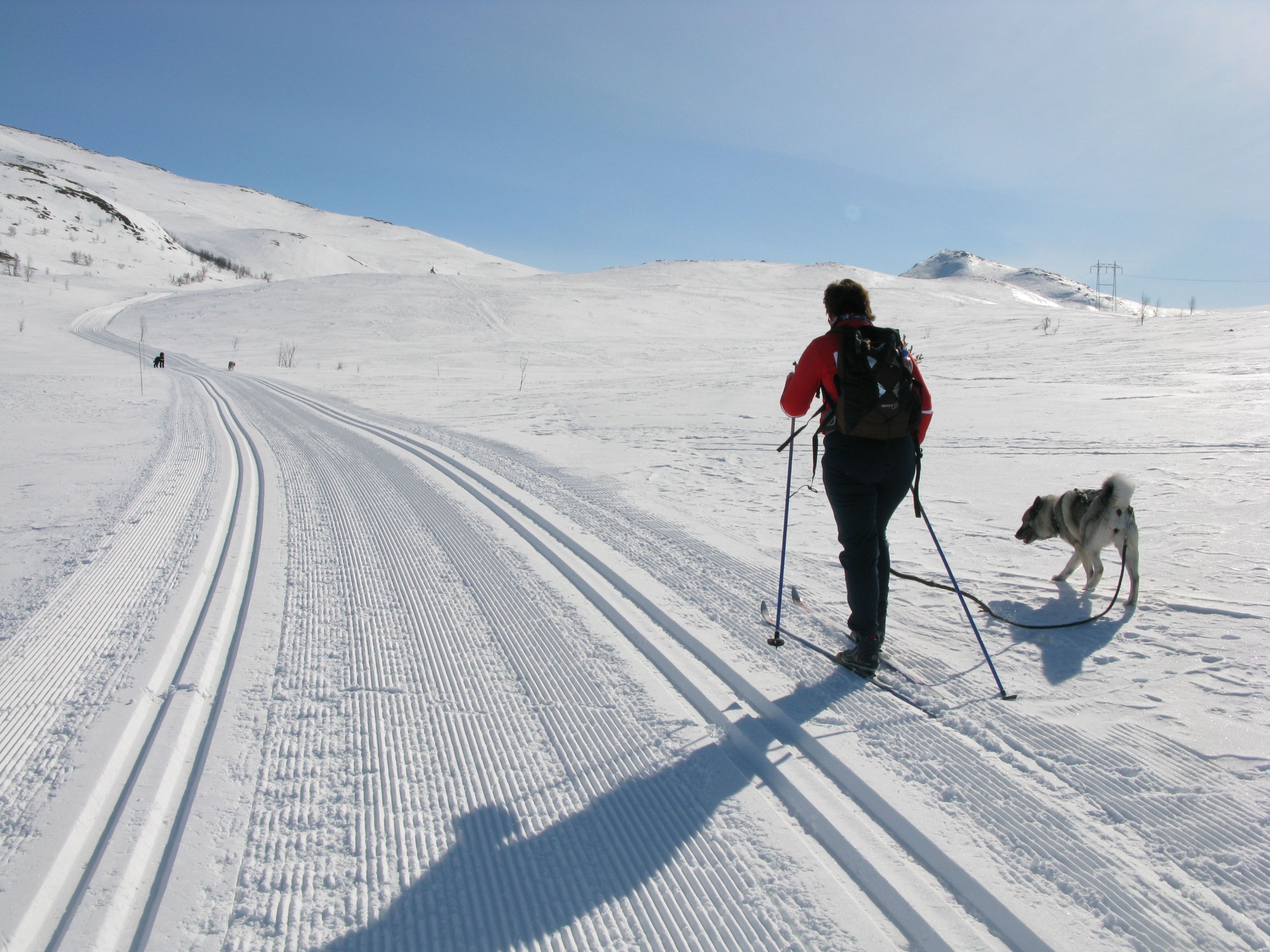 På skitur, Espedalen