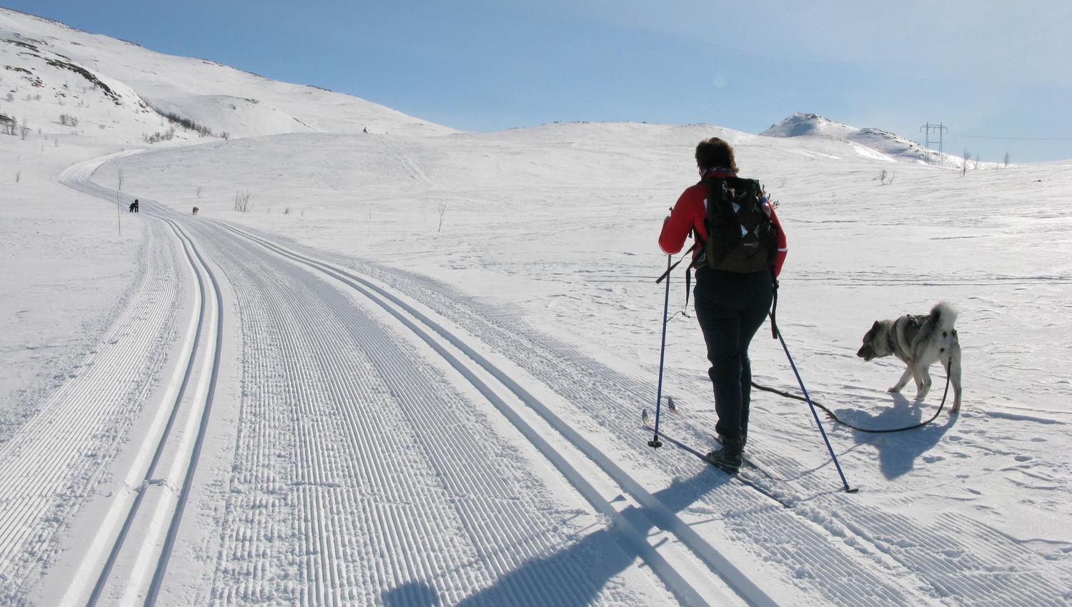 På skitur, Espedalen