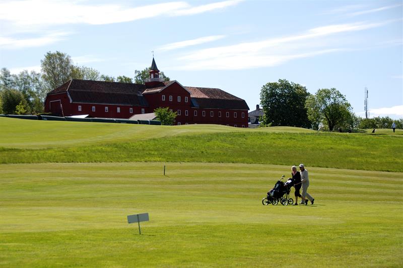 people with golf equipment on the golf course 