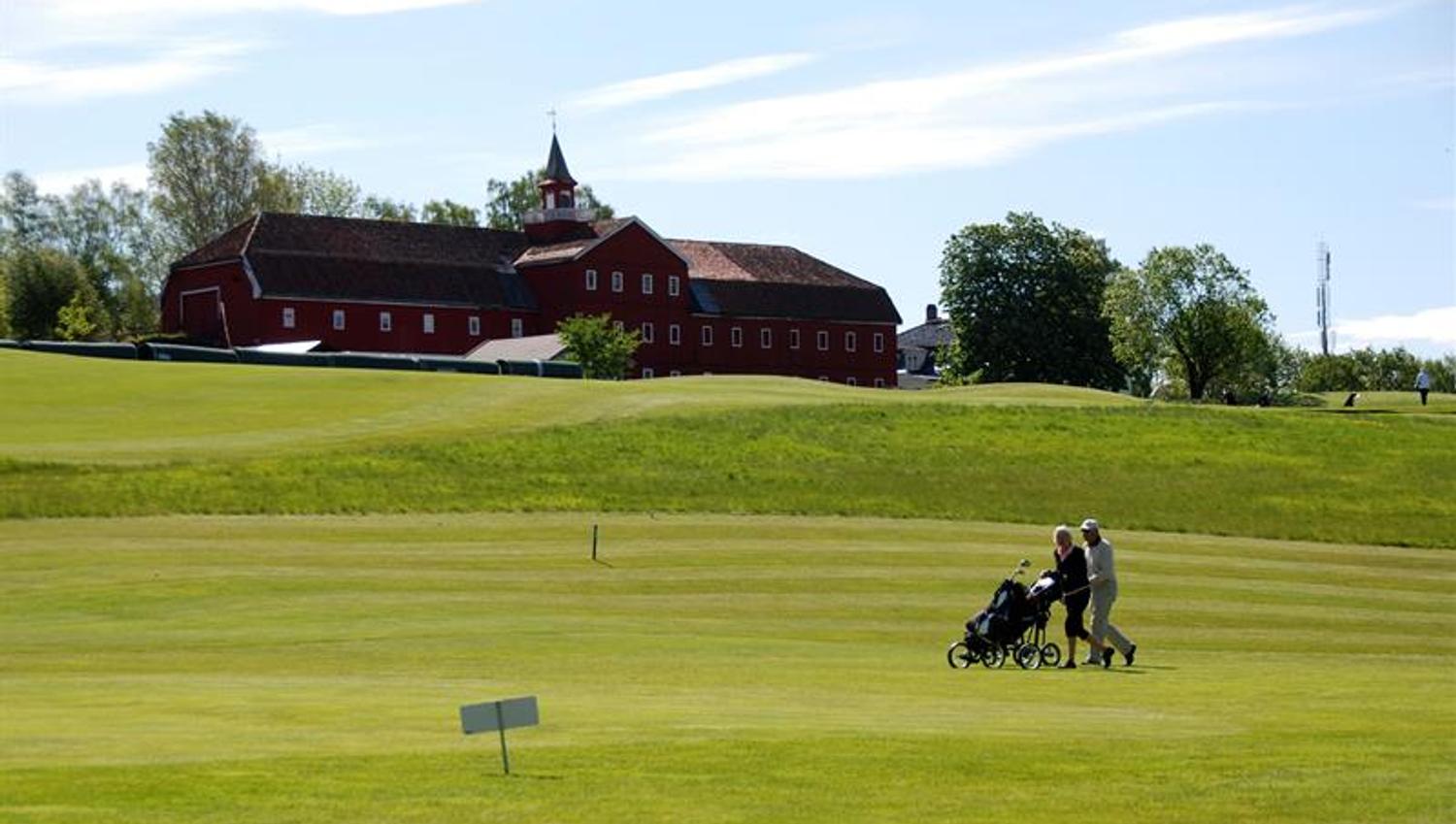 people with golf equipment on the golf course