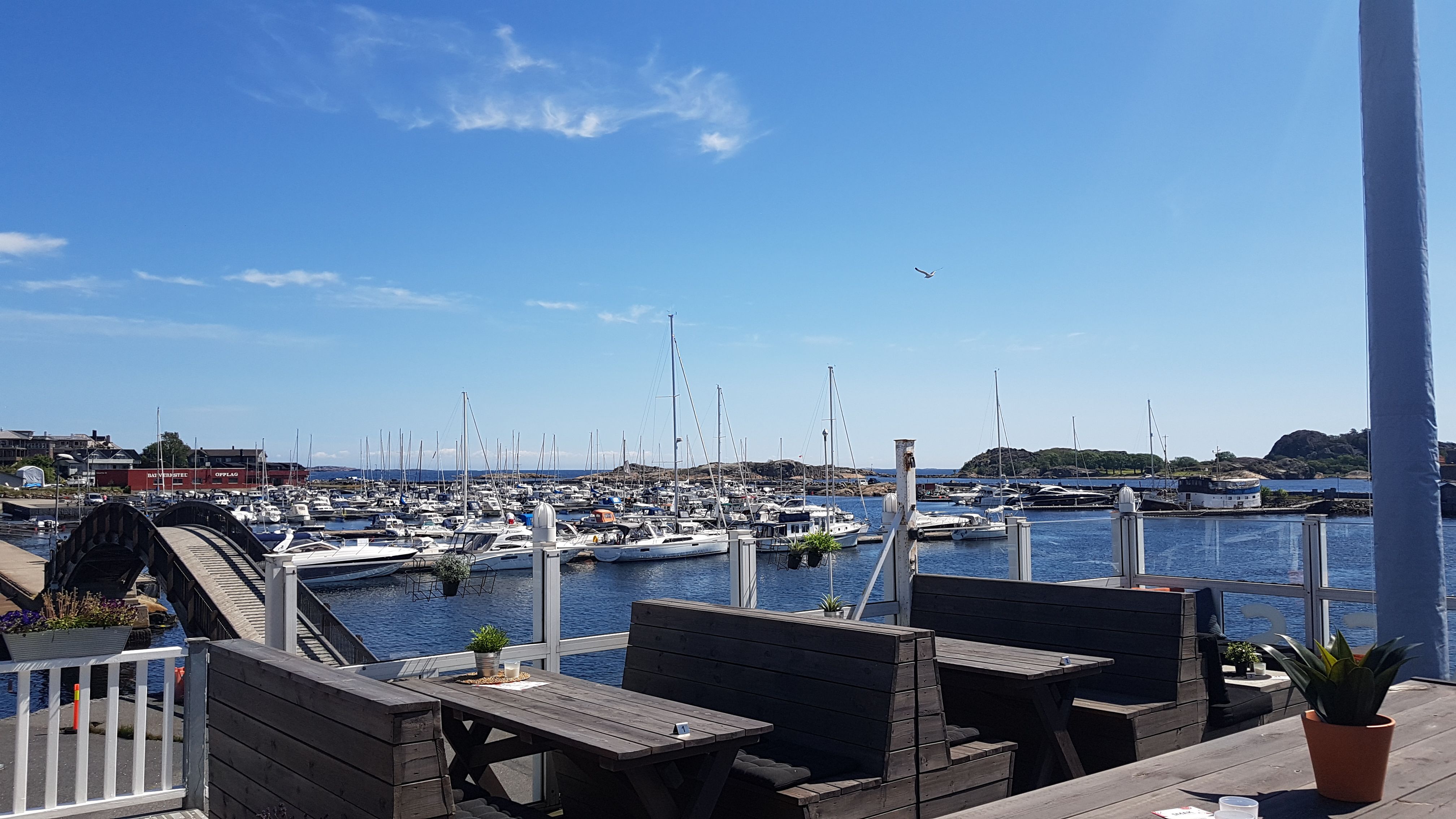 Utsikt over havna
