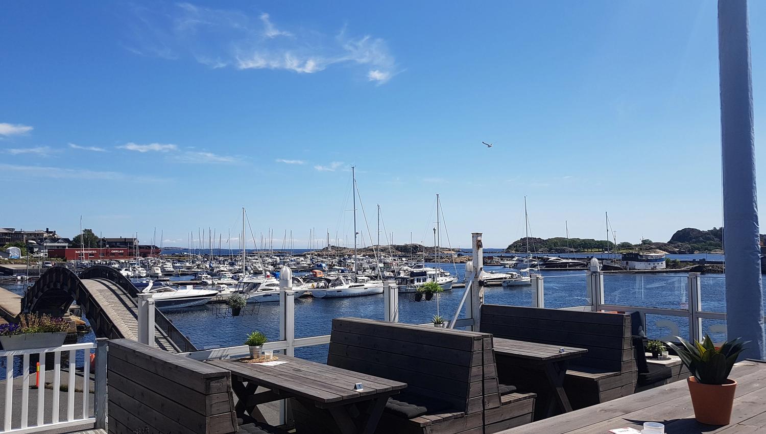 Utsikt over havna