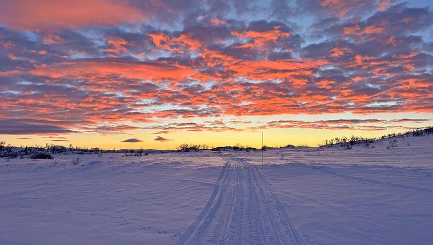 winter landscape