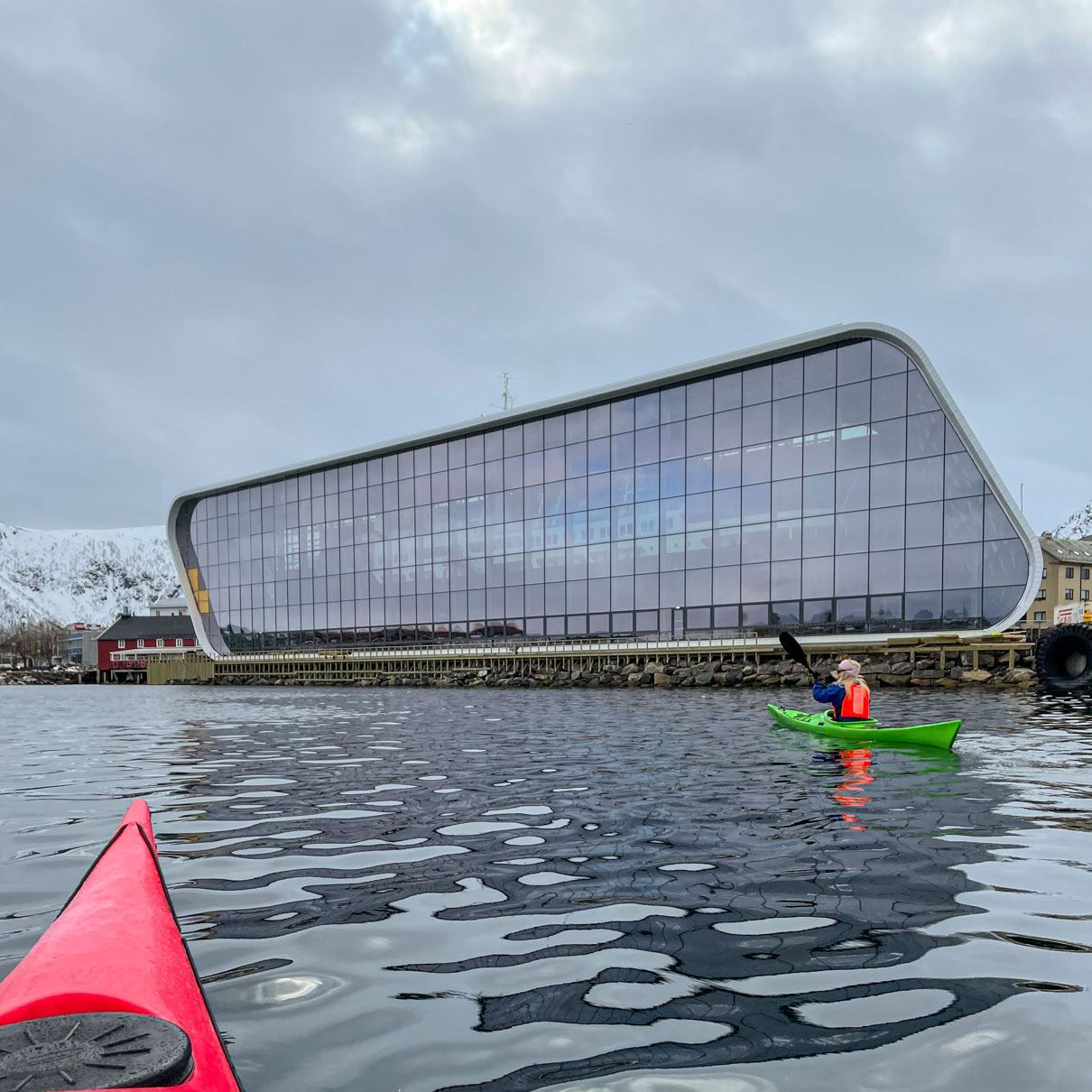 Guided Kayak Tour - See Vesterålen