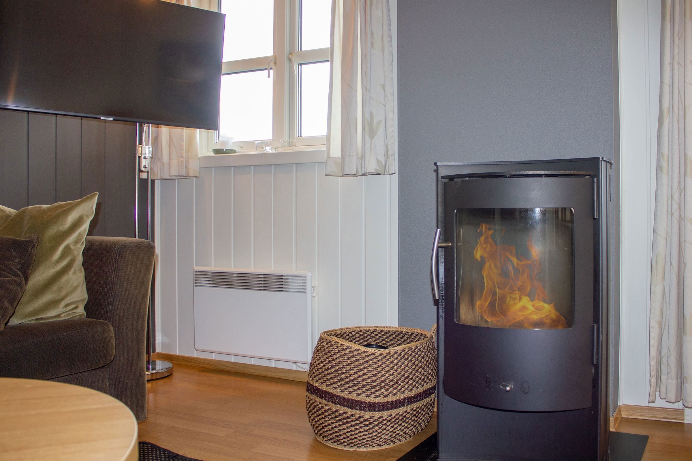 Living room with wood-burning stove