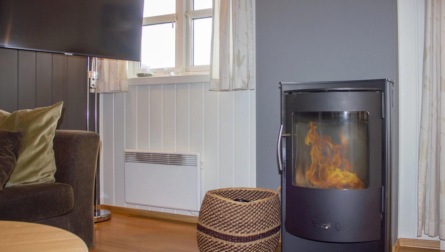 Living room with wood-burning stove