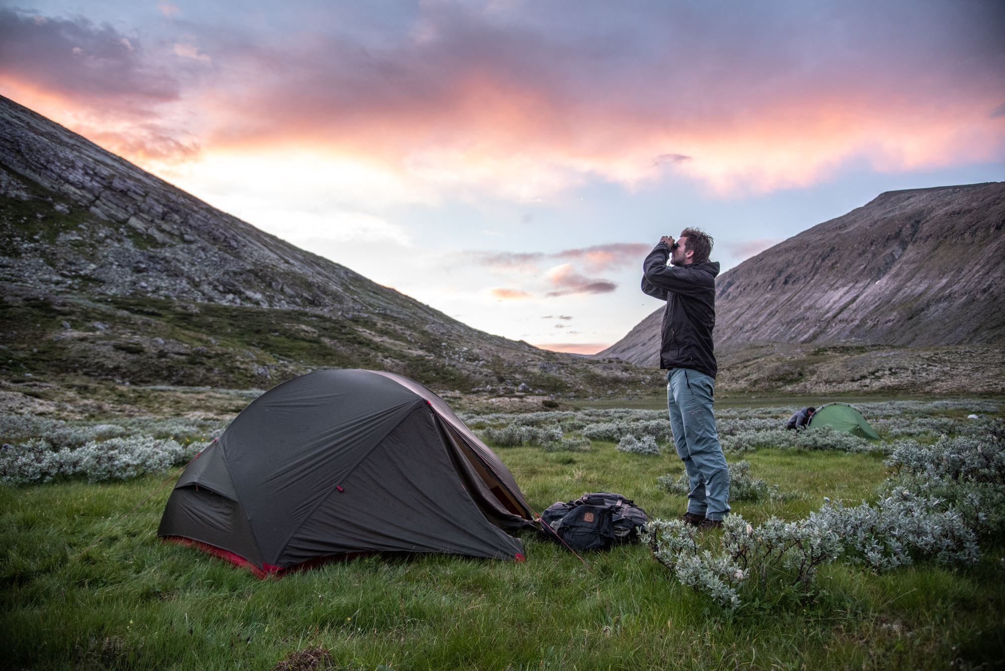 Musk Ox Safari Personal Tour, 2 days