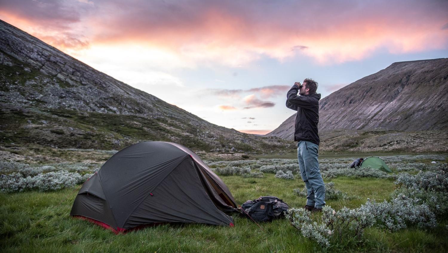 Musk Ox Safari Personal Tour, 2 days