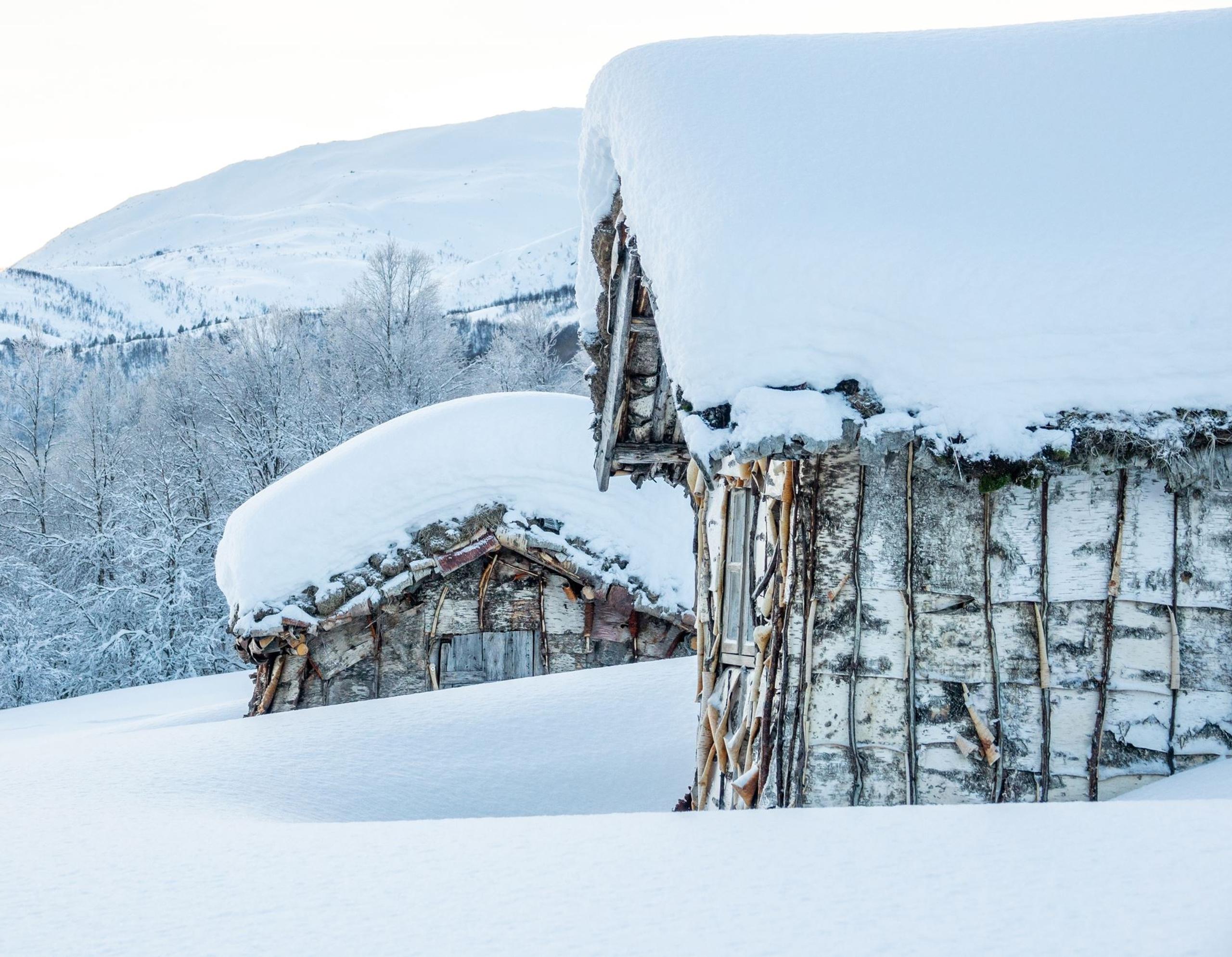 Guidet Tour to a Sámi Settlement