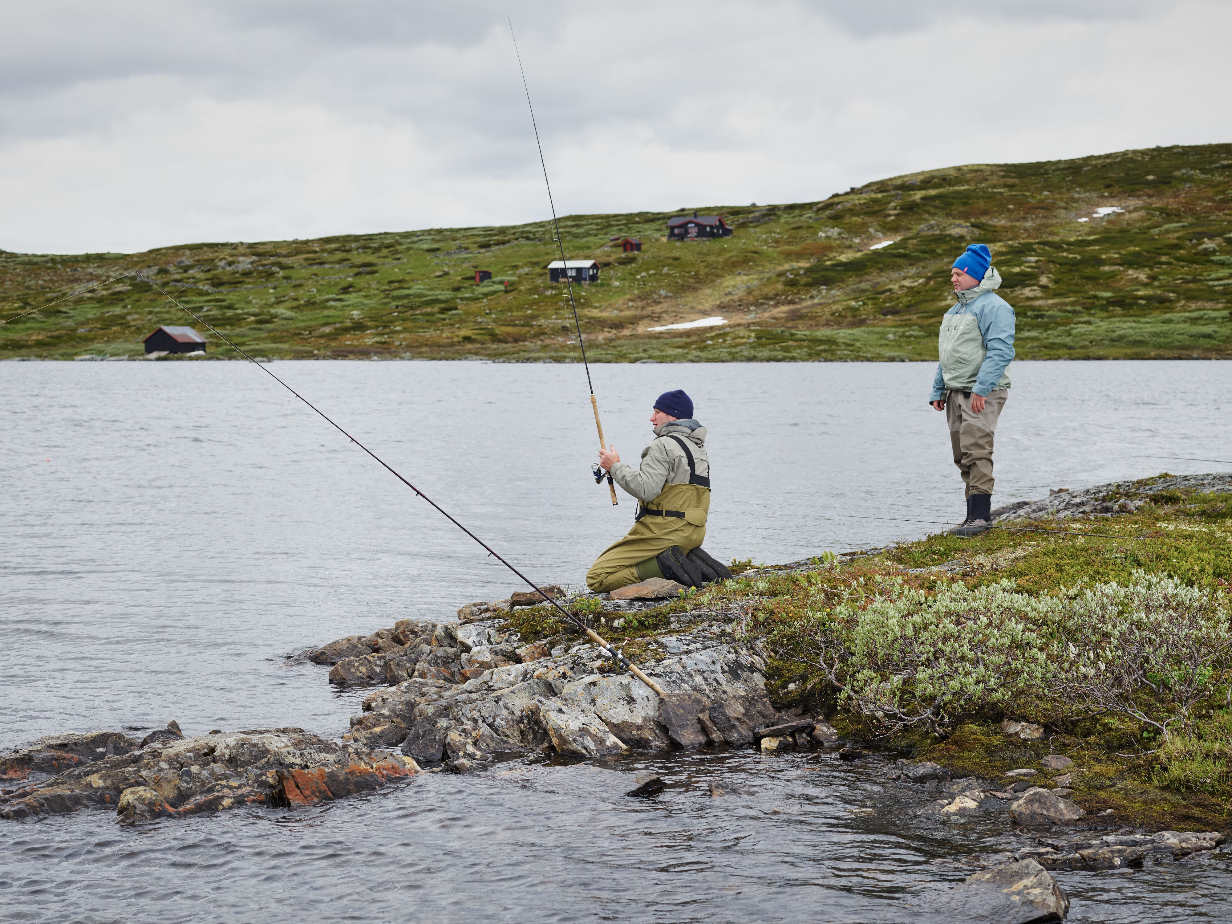 summer, fishing