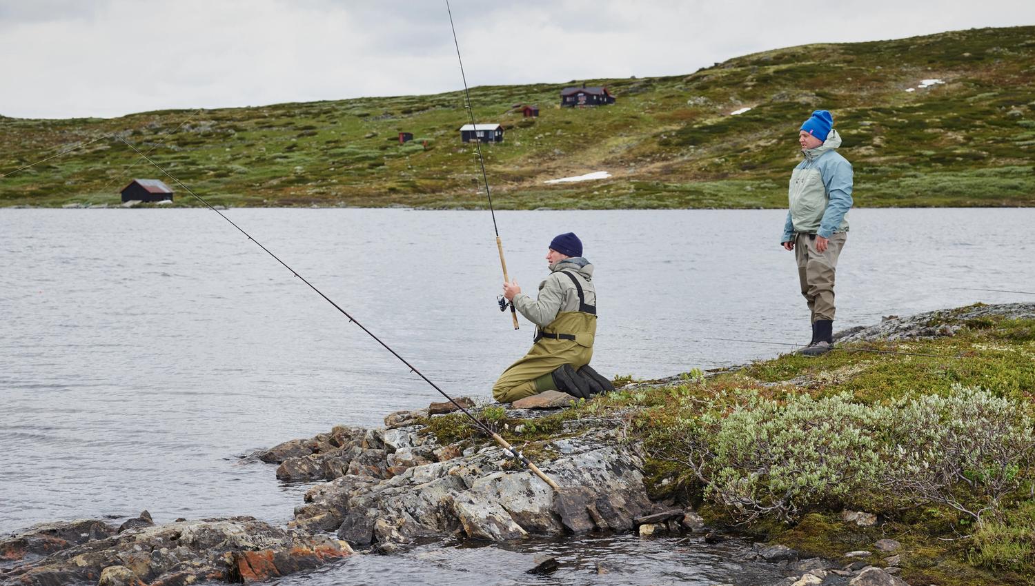 summer, fishing