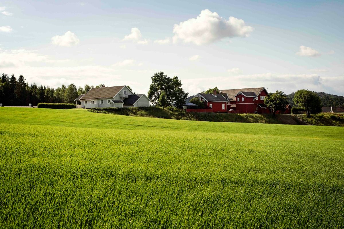 Gård