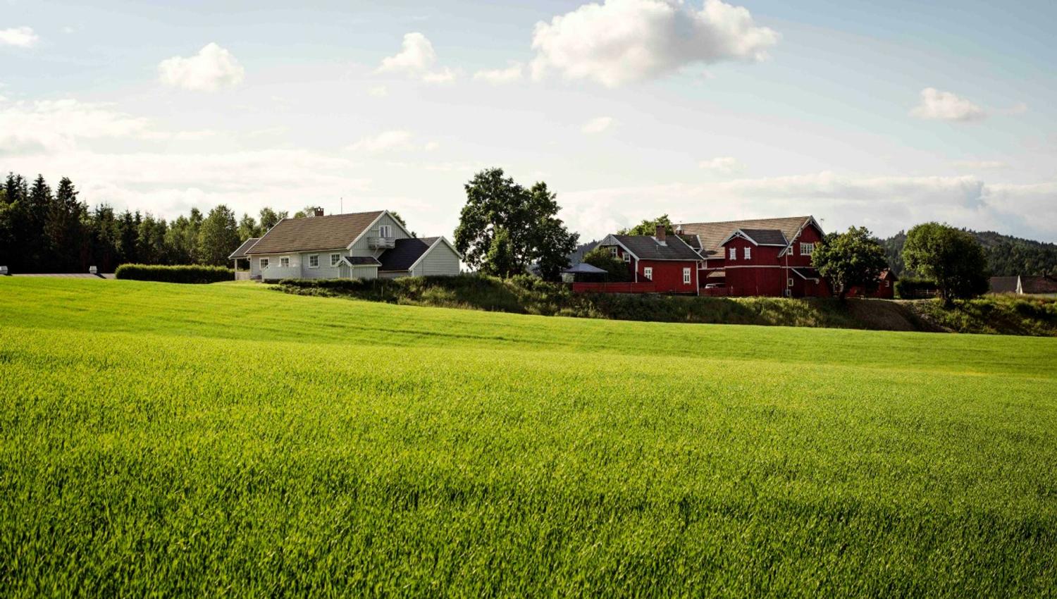 Gård