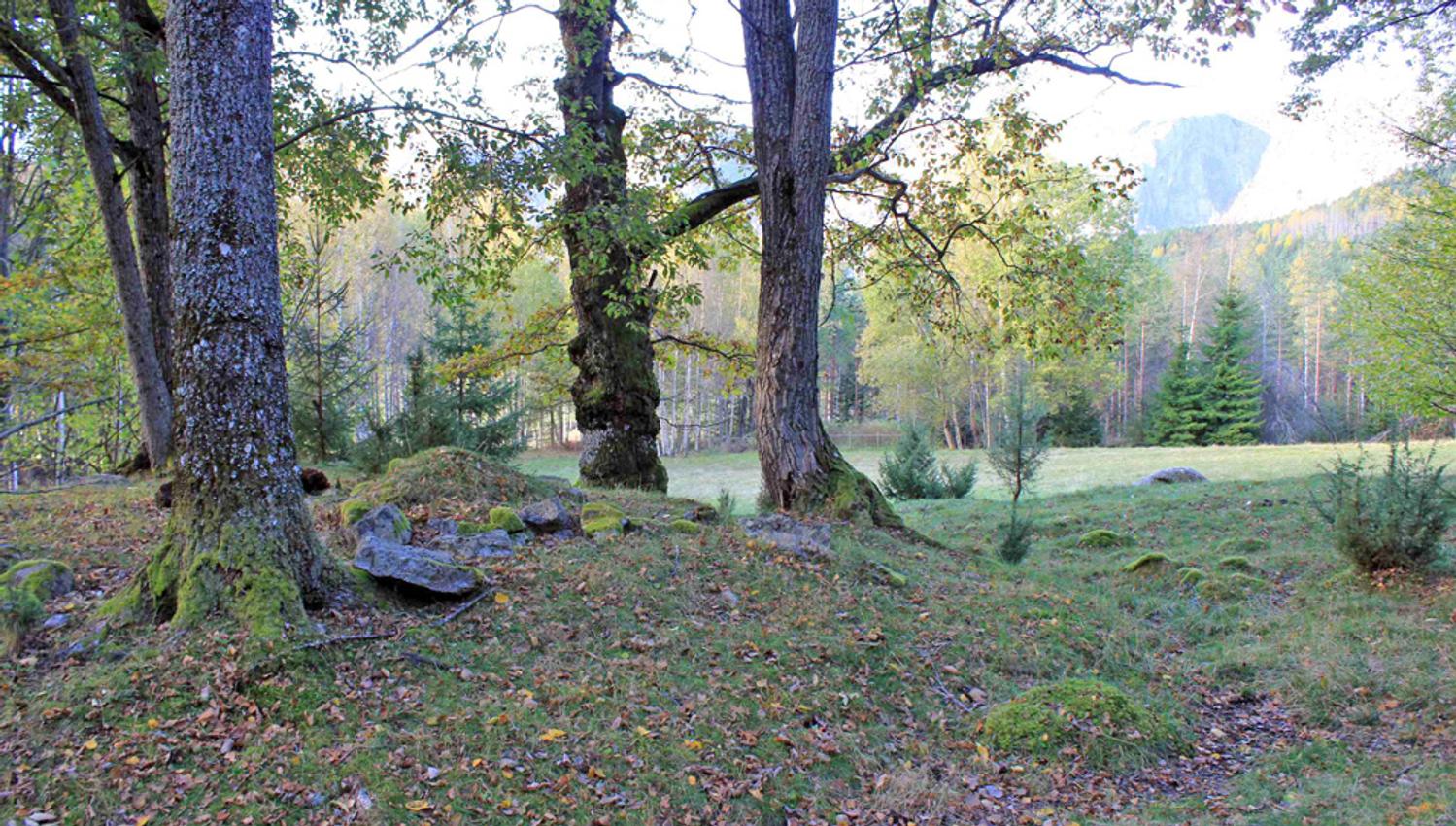 Burial mounds at Årak