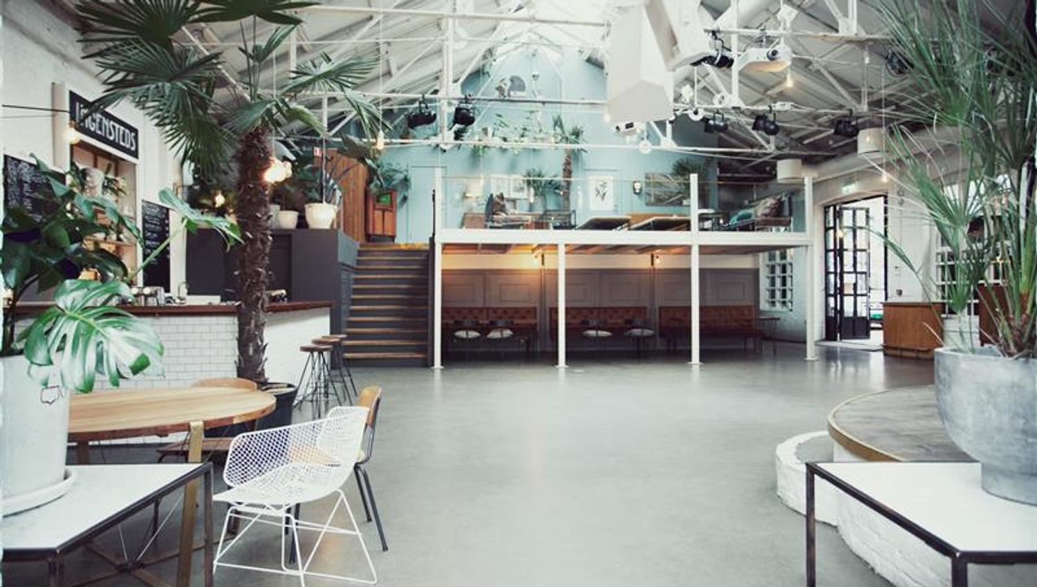 Interior with a high ceiling and lots of plants.