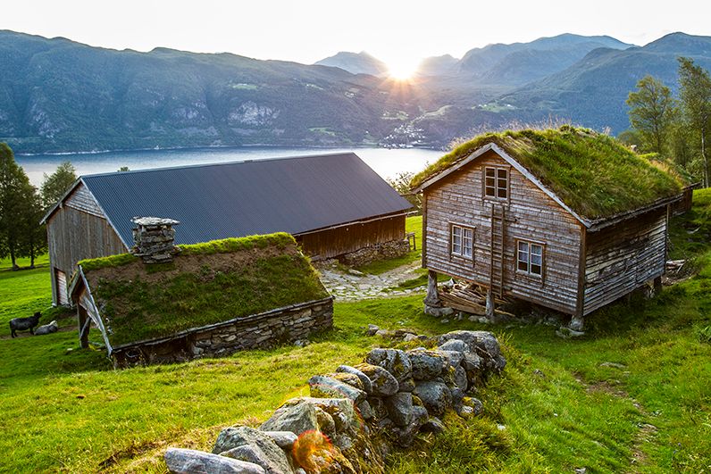 Flotte opplevelser og besøk på turen fra Ålesund til Geiranger