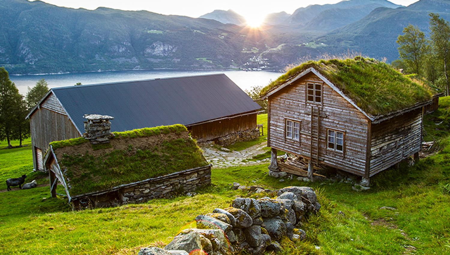Flotte opplevelser og besøk på turen fra Ålesund til Geiranger