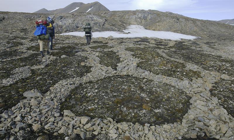 Nordenskiöldfjellet: Topptur til fots - Svalbard Wildlife Expeditions