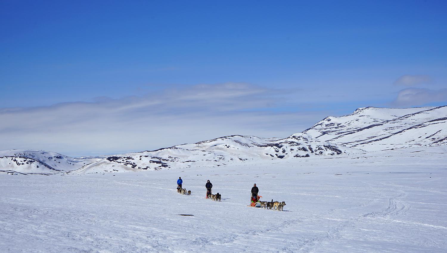 Hundekjøring på Valdresflye