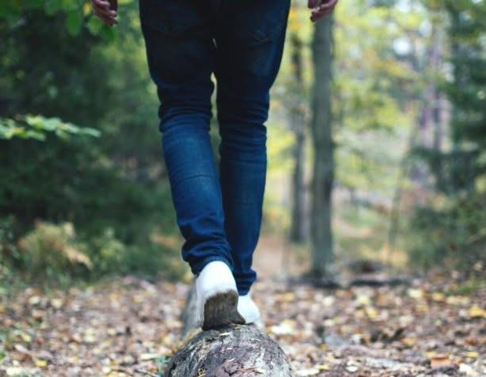 Forest bathing