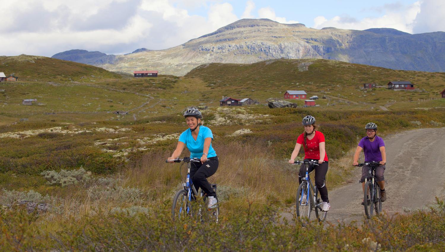 Sykkeltur i Bergsjøområdet