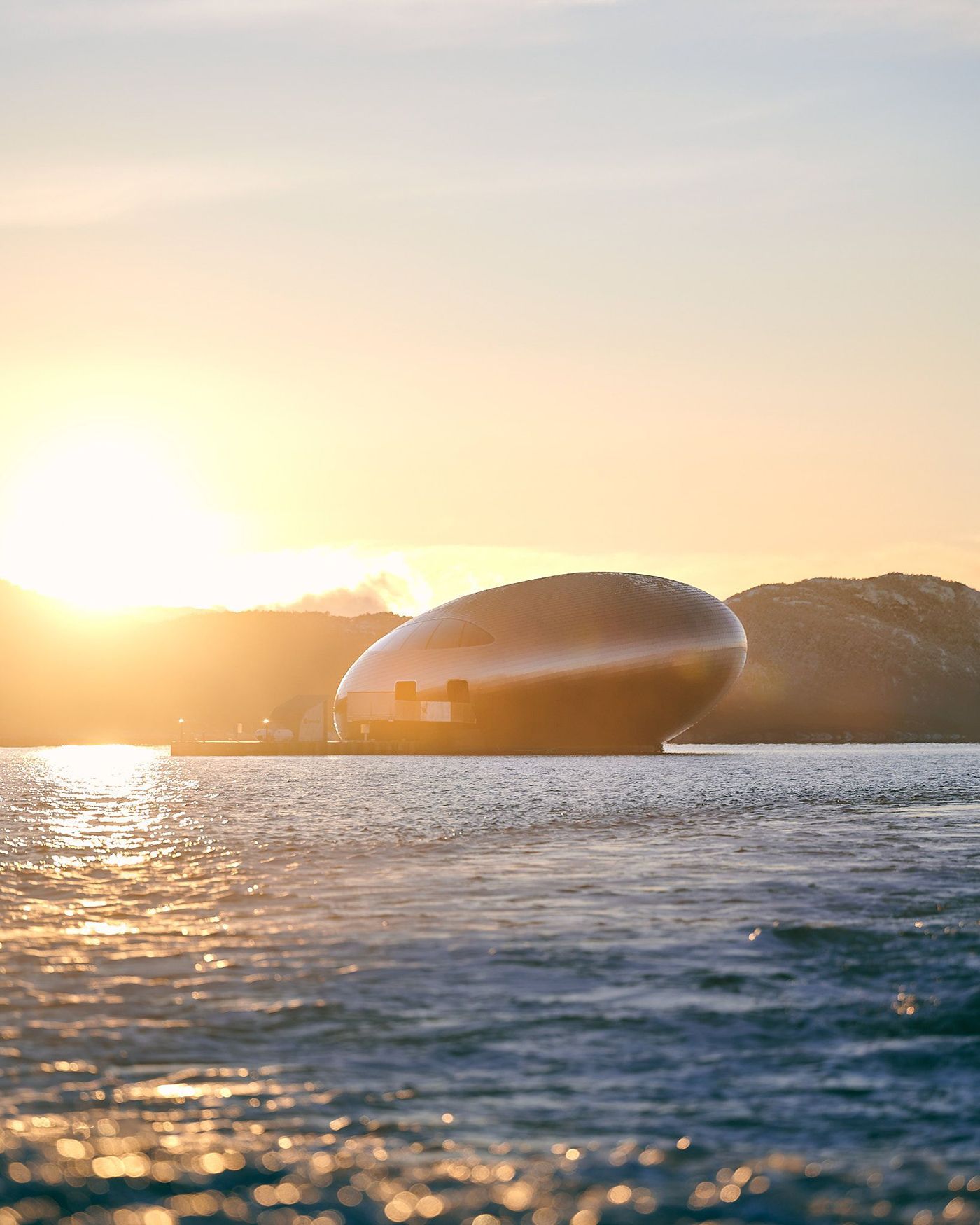Salmon Eye in sunset