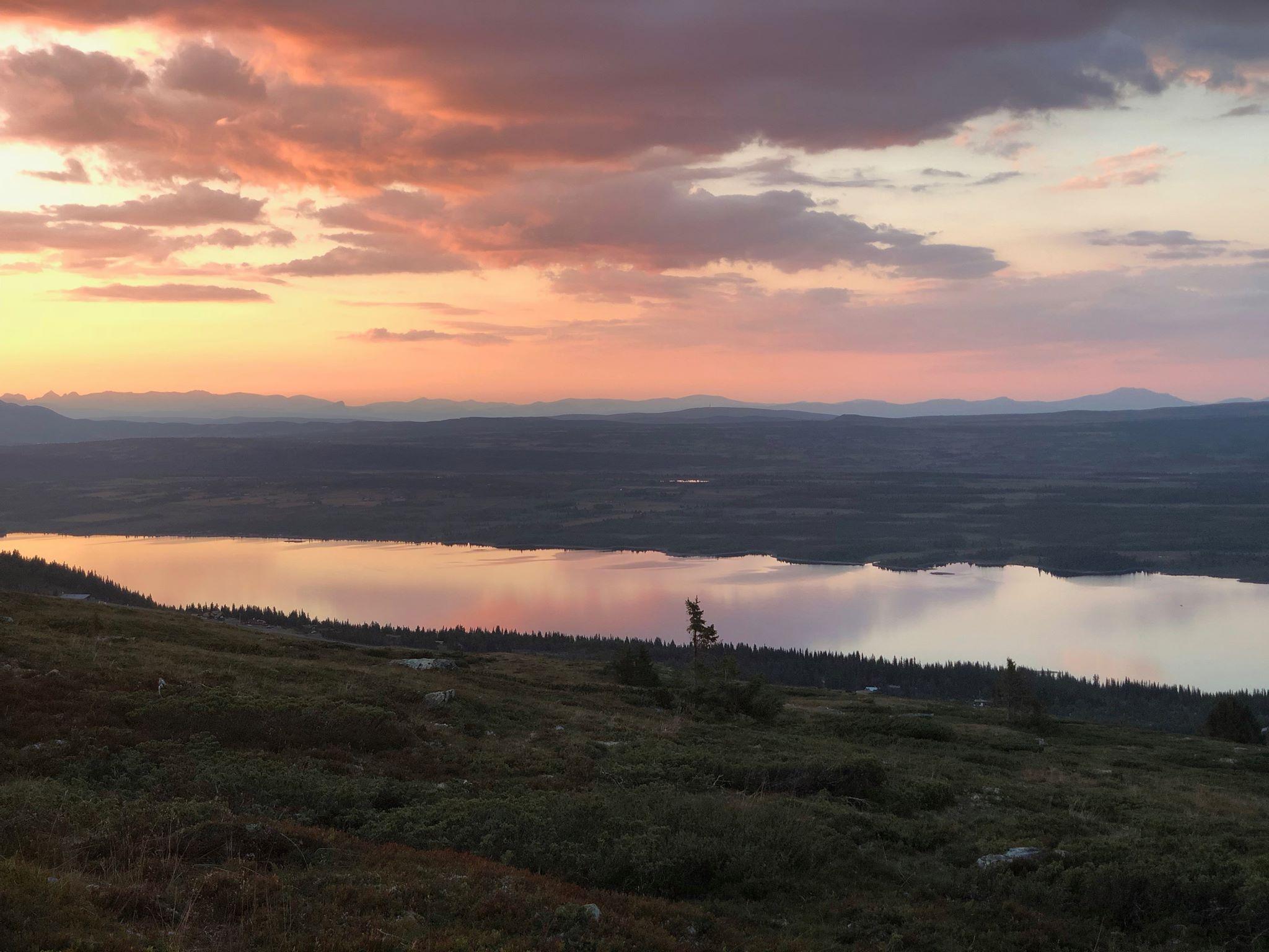 Ørterhøvda 1